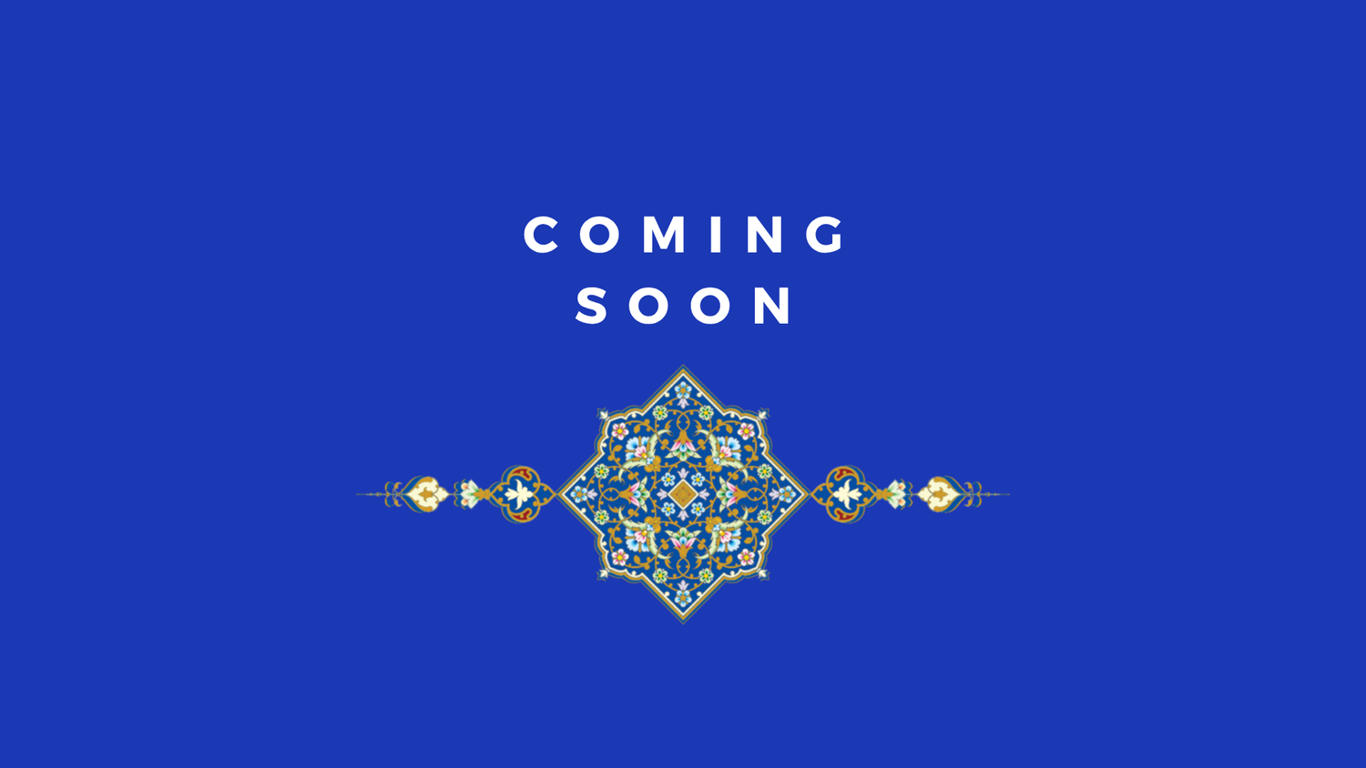 Curated New