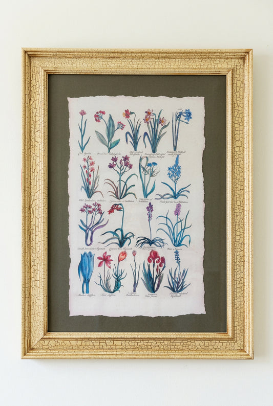 Botanical Hand-Torn Framed Print