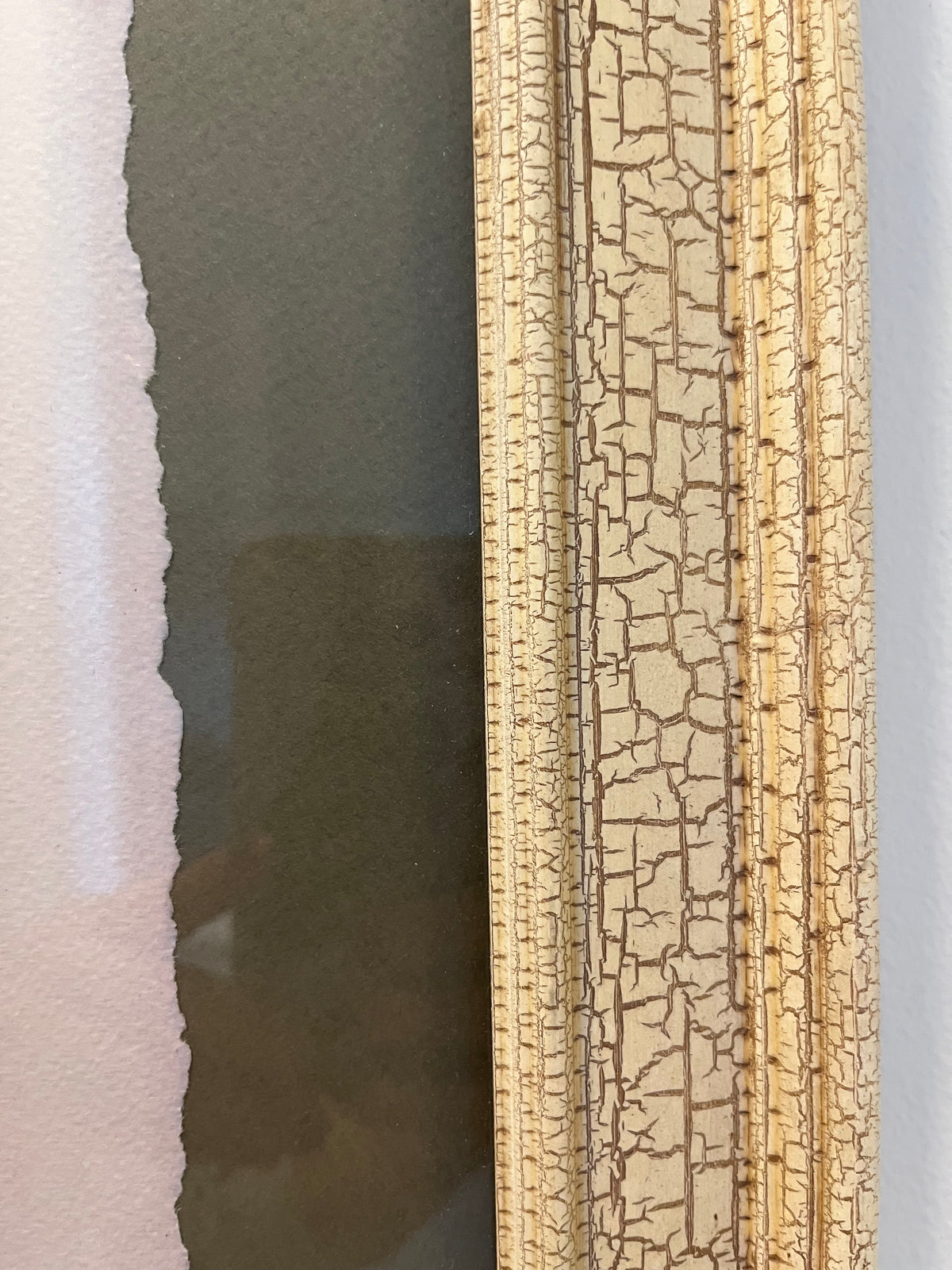 Botanical Hand-Torn Framed Print