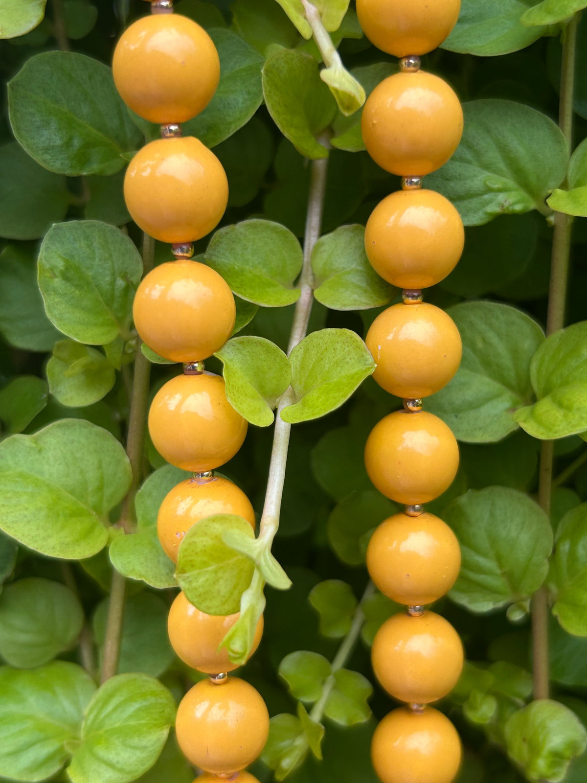 Vintage mustard yellow round bead necklace