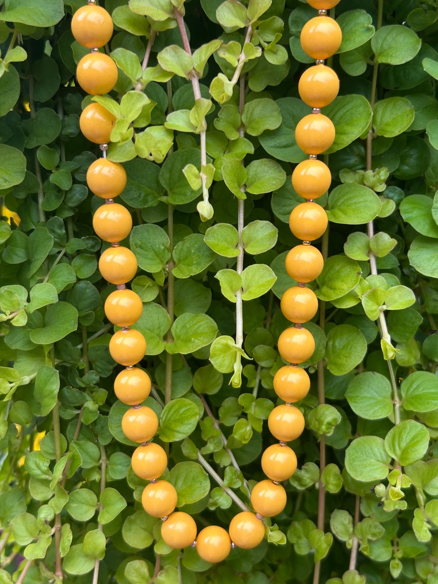 Close-up of vintage mustard yellow round bead necklace
